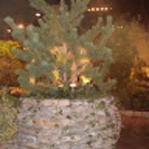 Meet your Posher, Wendy